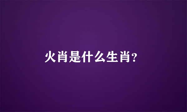 火肖是什么生肖？