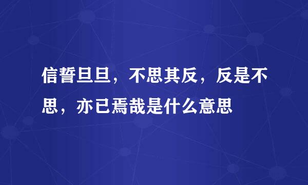 信誓旦旦，不思其反，反是不思，亦已焉哉是什么意思