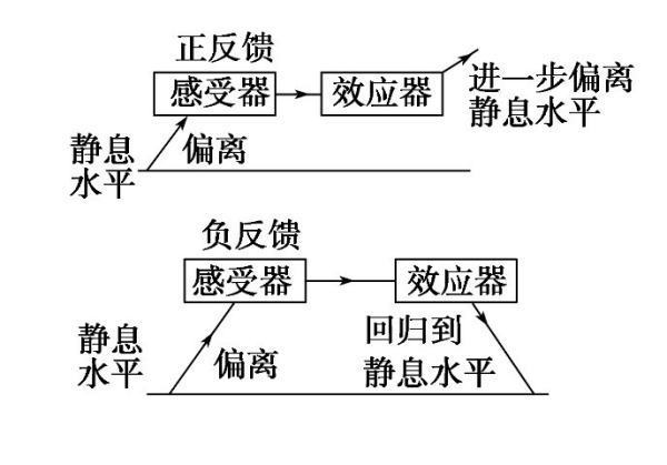 正反来自馈和负反馈的区别是什么？