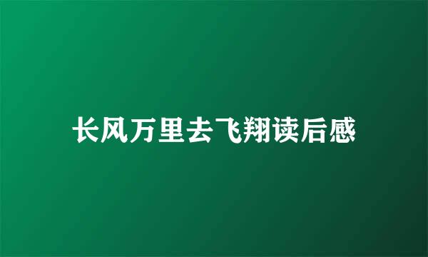 长风万里去飞翔读后感