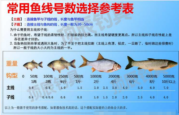 钓鱼鱼线及鱼钩号数选择