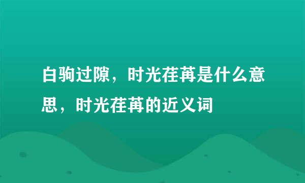 白驹过隙，时光荏苒是什么意思，时光荏苒的近义词