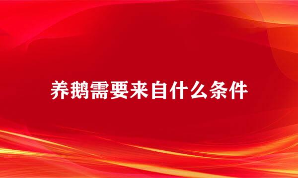 养鹅需要来自什么条件