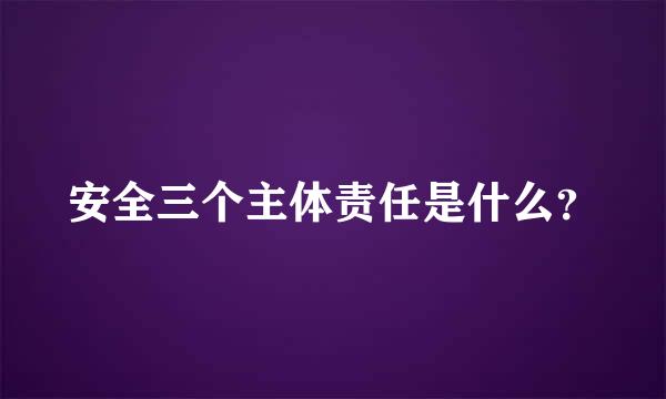 安全三个主体责任是什么？