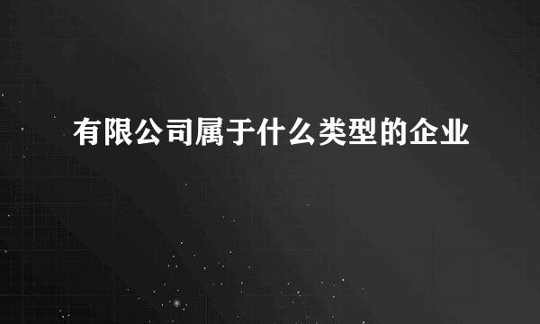 有限公司属于什么类型的企业