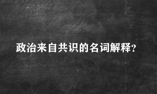 政治来自共识的名词解释？