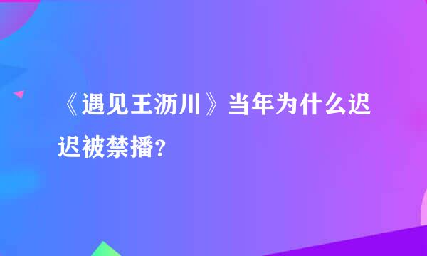 《遇见王沥川》当年为什么迟迟被禁播？