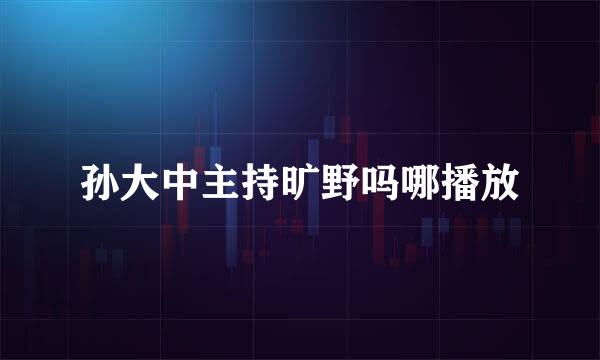 孙大中主持旷野吗哪播放