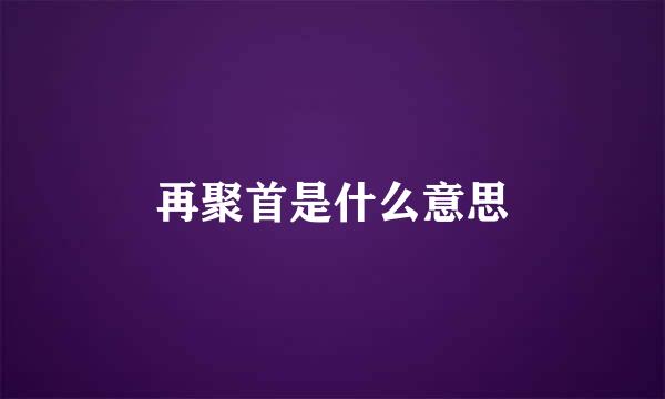 再聚首是什么意思