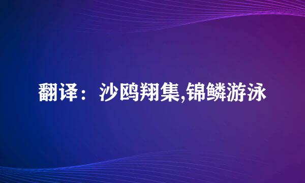 翻译：沙鸥翔集,锦鳞游泳