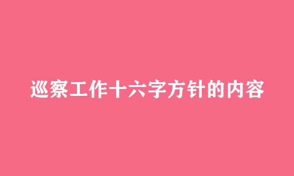 巡察工作十六字方针的内容