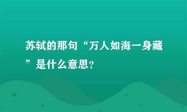 苏轼的那句“万人如海一身藏”是什么意思？