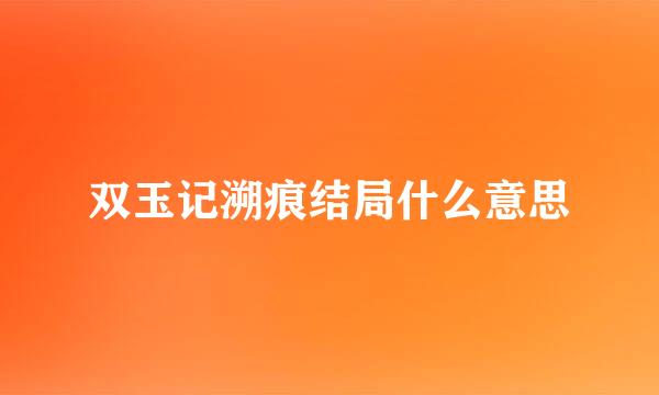 双玉记溯痕结局什么意思