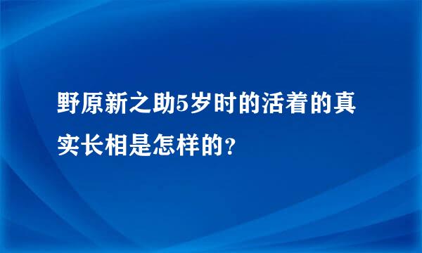 野原新之助5岁时的活着的真实长相是怎样的？