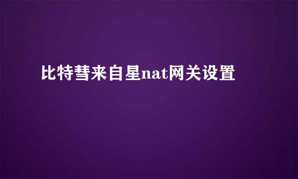 比特彗来自星nat网关设置