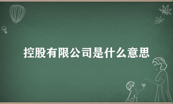 控股有限公司是什么意思