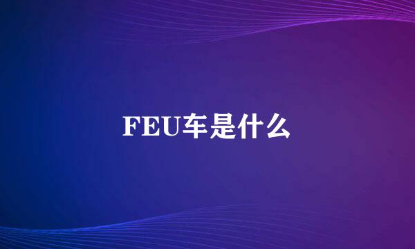 FEU车是什么