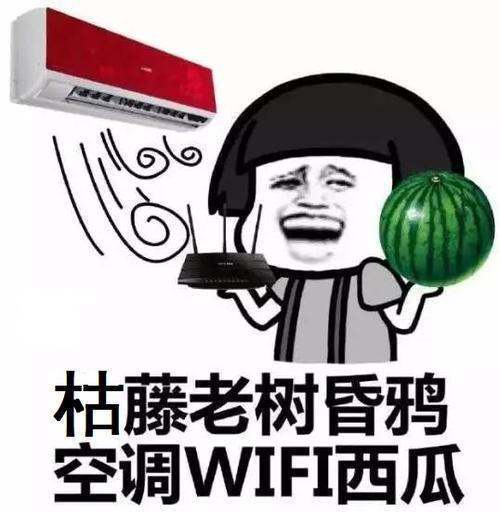 空调wifi西瓜的顺口溜是什么？