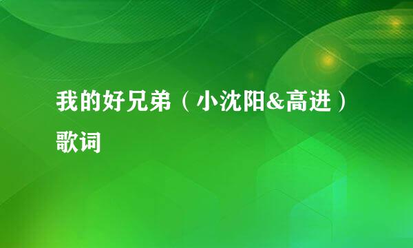 我的好兄弟（小沈阳&高进）歌词