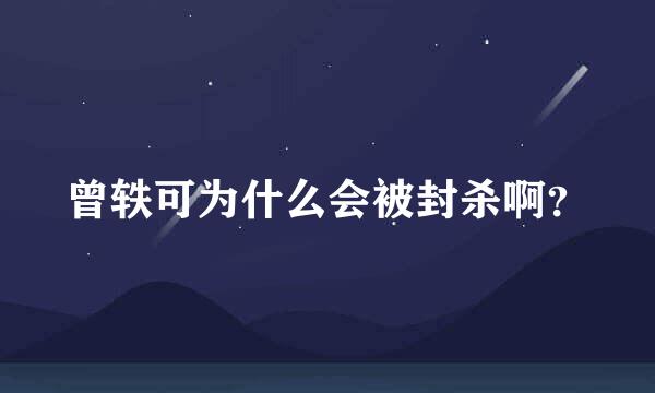 曾轶可为什么会被封杀啊？