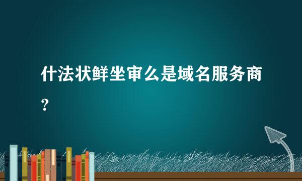 什法状鲜坐审么是域名服务商？