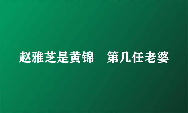 赵雅芝是黄锦燊第几任老婆