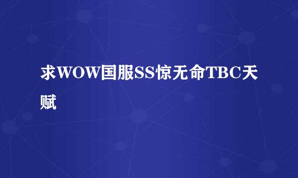 求WOW国服SS惊无命TBC天赋