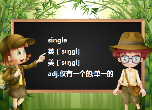 Integ来自er和Single的区别是什么啊