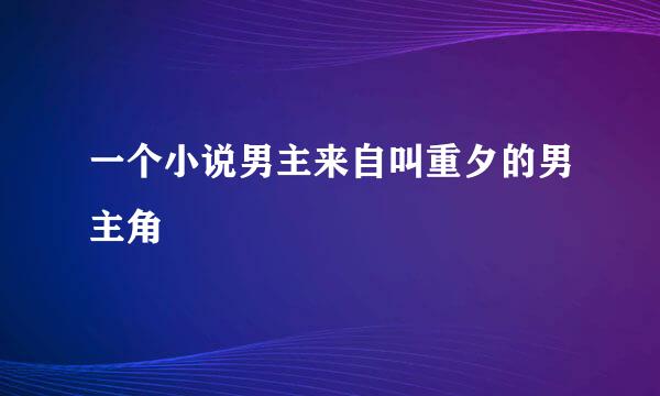 一个小说男主来自叫重夕的男主角