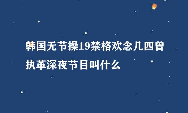 韩国无节操19禁格欢念几四曾执革深夜节目叫什么