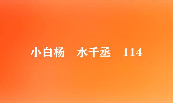 小白杨 水千丞 114