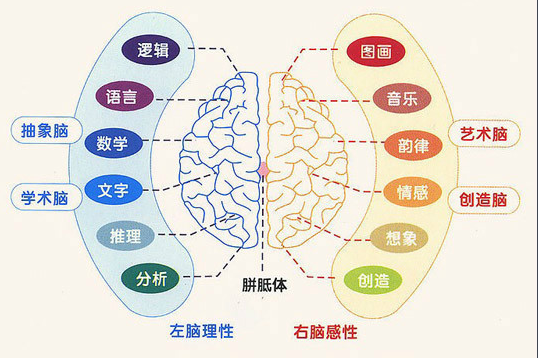 凡思右脑开发怎么样？有人说是骗人的，是真的吗？