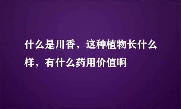 什么是川香，这种植物长什么样，有什么药用价值啊