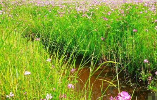 花从春点该走过，留下缕缕花香；叶从夏走过，留下片片清凉；来自——从秋走过，留下——；——从360问答冬走过，留下——