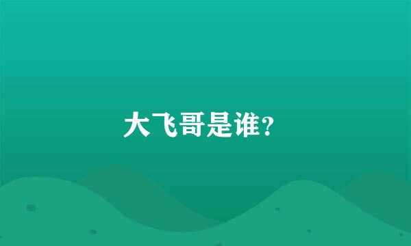 大飞哥是谁？