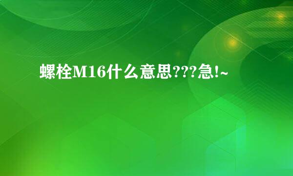 螺栓M16什么意思???急!~