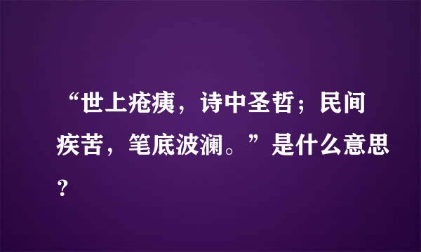 “世上疮痍，诗中圣哲；民间疾苦，笔底波澜。”是什么意思？