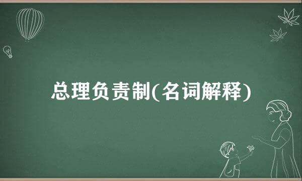 总理负责制(名词解释)