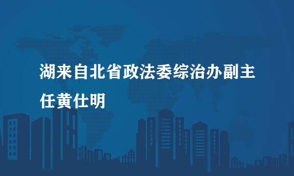 湖来自北省政法委综治办副主任黄仕明