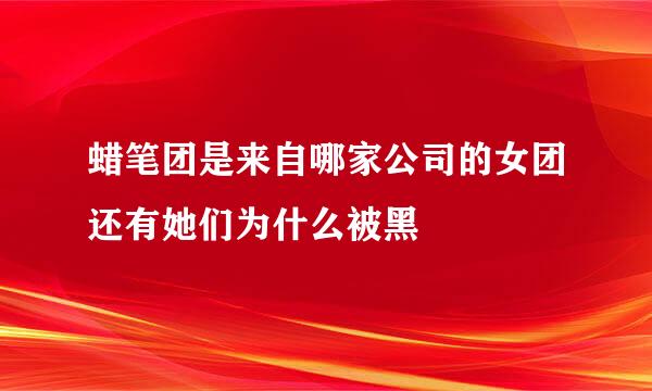 蜡笔团是来自哪家公司的女团还有她们为什么被黑