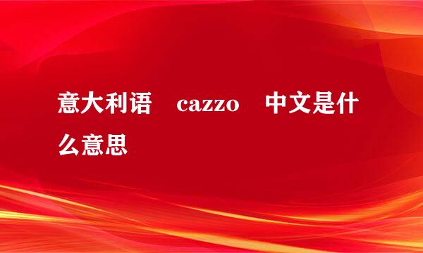 意大利语 cazzo 中文是什么意思