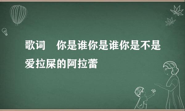 歌词 你是谁你是谁你是不是爱拉屎的阿拉蕾