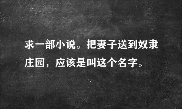 求一部小说。把妻子送到奴隶庄园，应该是叫这个名字。