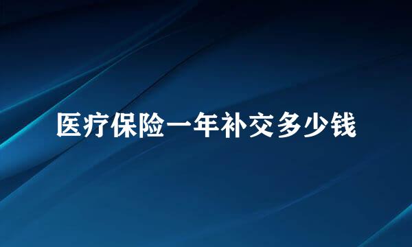 医疗保险一年补交多少钱