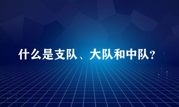 什么是支队、大队和中队？