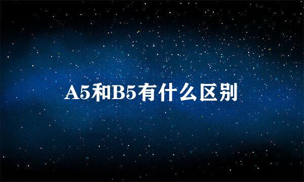 A5和B5有什么区别