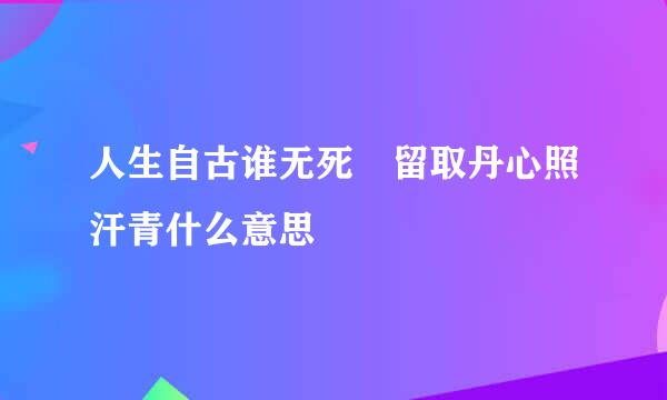 人生自古谁无死 留取丹心照汗青什么意思