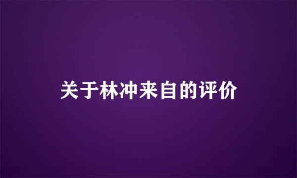 关于林冲来自的评价