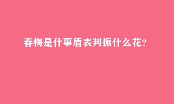 春梅是什事盾表判振什么花？