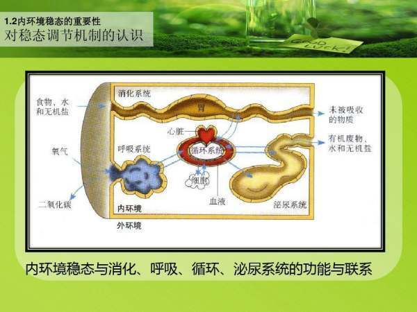 稳土头个达而滑态是什么